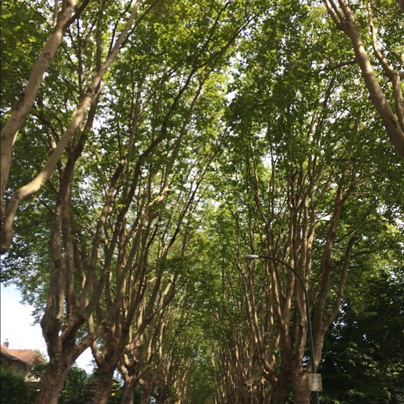 Meet your Posher, Kathy - Picture 1 of 1